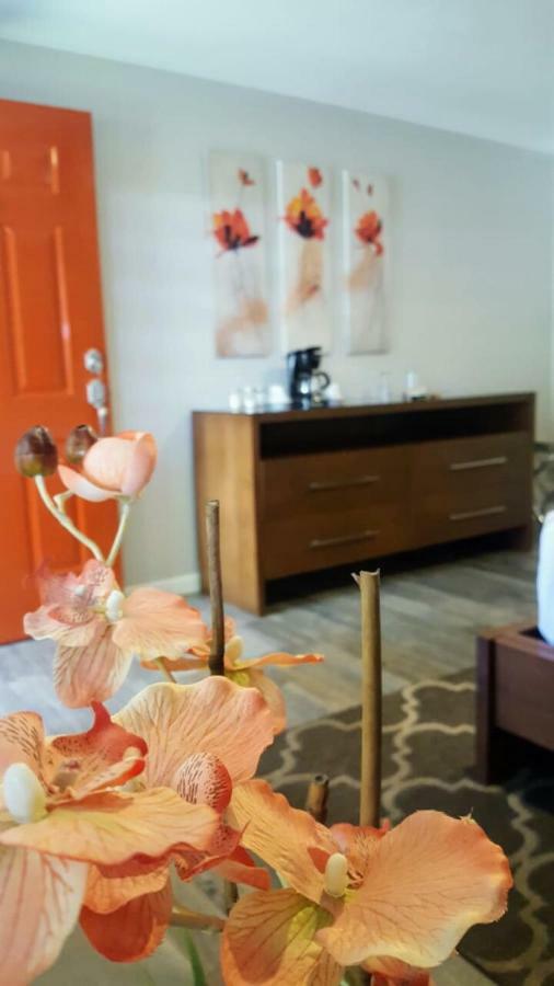 Quinta Arratz Hotel Villa de Juarez Ngoại thất bức ảnh